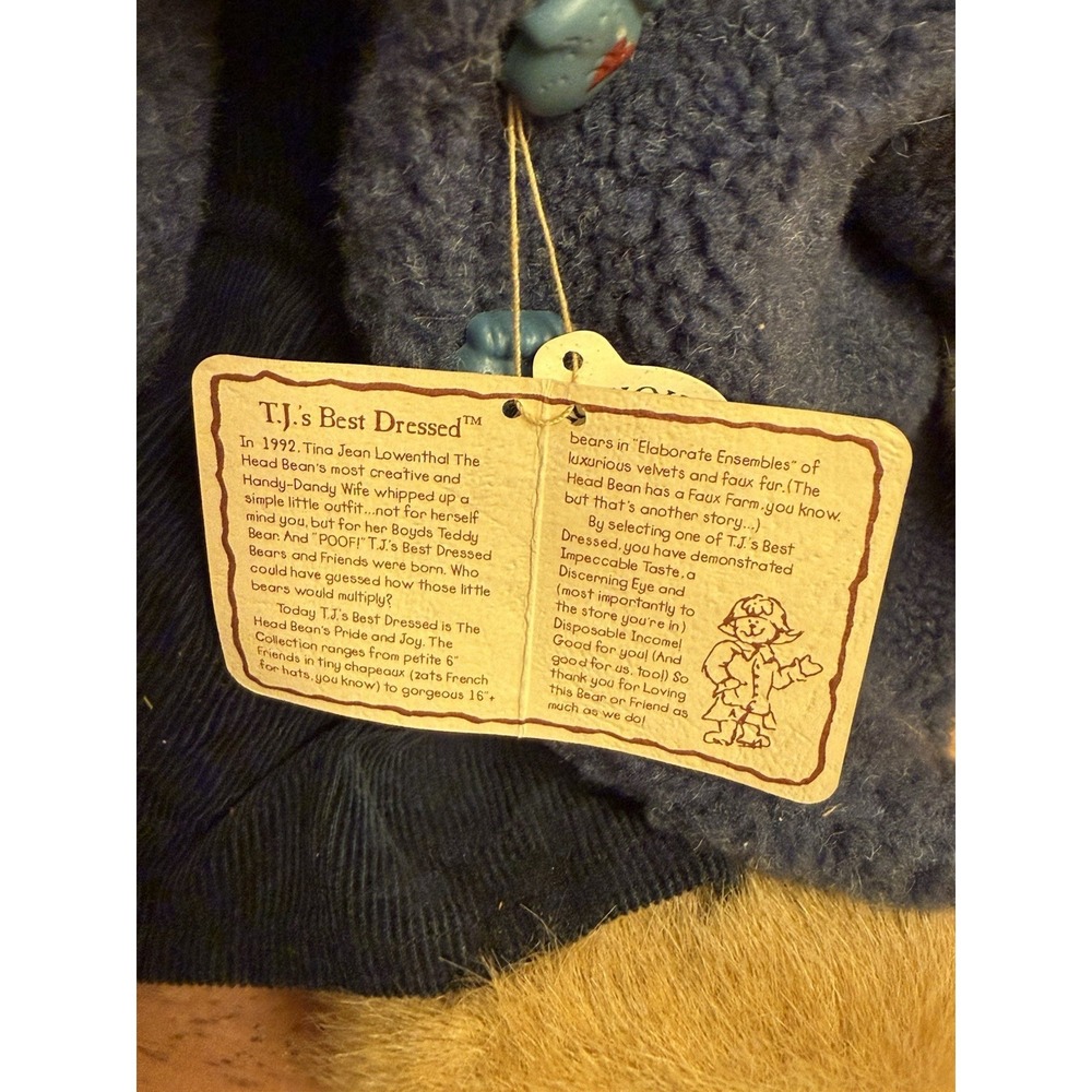 Boyds Bear 904021 Plushed Stuffed 14" Karina Burrbruin with Blue Coat and Hood - Picture 7 of 7